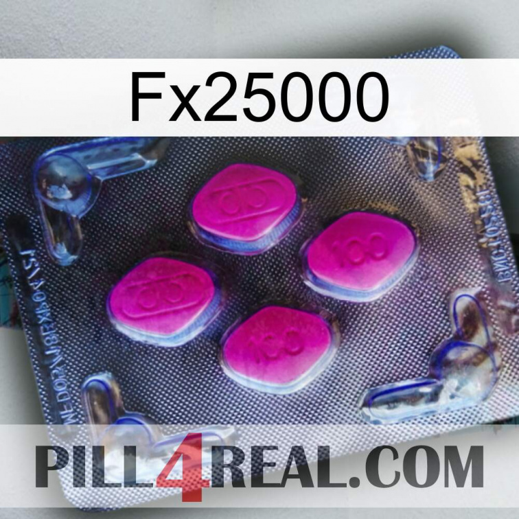 Fx25000 02